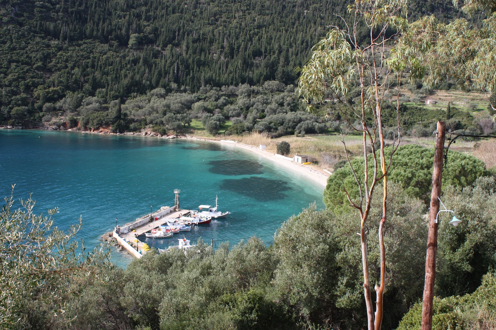 Foto van Polis beach met hoog niveau van netheid