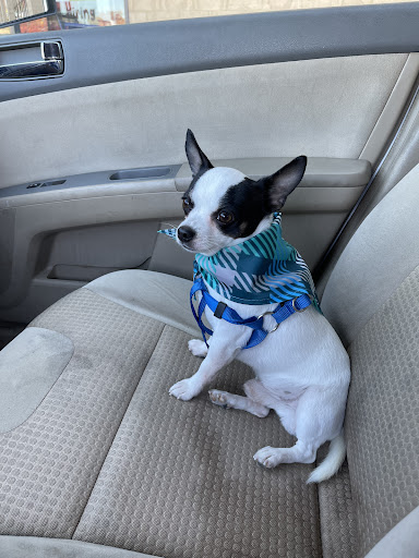 Pet Supply Store «PetSmart», reviews and photos, 10164 Colerain Ave, Cincinnati, OH 45251, USA