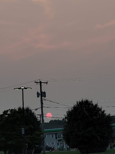 Grocery Store «Market Basket», reviews and photos, 352 W Center St, West Bridgewater, MA 02378, USA