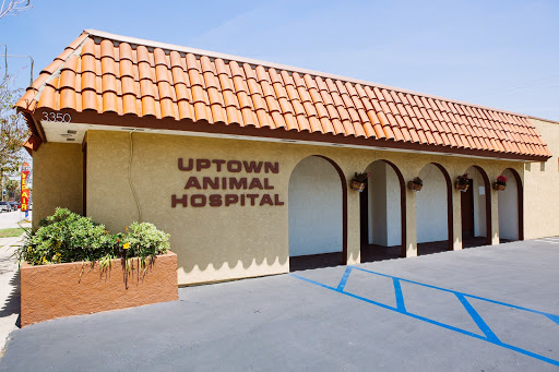 Uptown Animal Hospital Inc