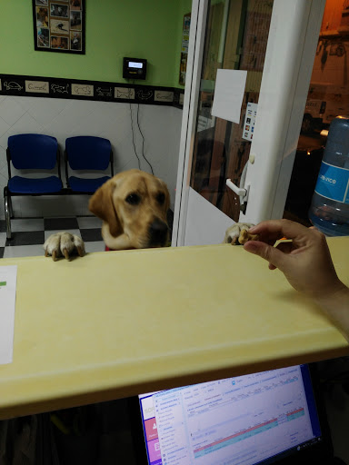 Clínica Veterinaria Ammar en Alzira