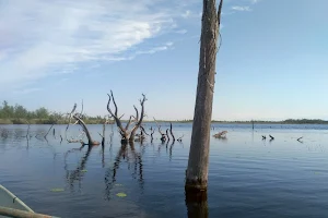 Narva Reservoir image