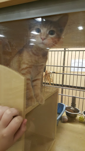 Pet Supply Store «PetSmart», reviews and photos, 5241 Frederica St, Owensboro, KY 42301, USA