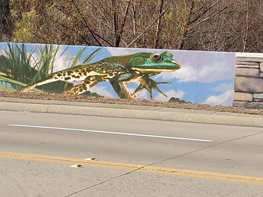 Park «Friendship Park», reviews and photos, 525 E Polo Rd, Grand Prairie, TX 75052, USA