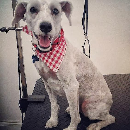 Furry Pawz & Clawz Pet Salon