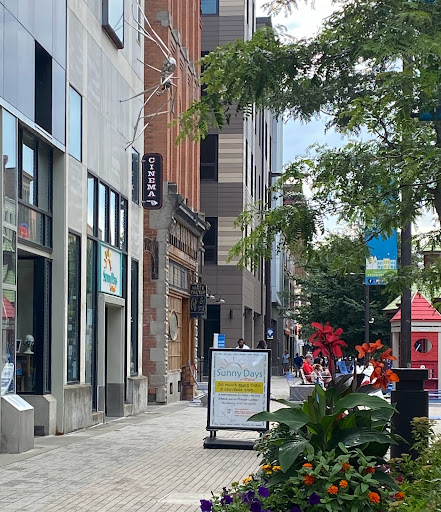 Gift Shop «Sunny Days Of Ithaca», reviews and photos, 123 S Cayuga St, Ithaca, NY 14850, USA