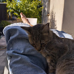 Photo n° 1 de l'avis de Dadou.i fait le 07/06/2023 à 04:48 pour GROUPE VETERINAIRE NEOCASTRIEN à Neufchâteau