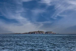 Isle of May Boat Trips image