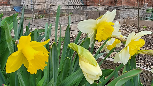 Park «Winnemac Park», reviews and photos, 5100 N Leavitt St, Chicago, IL 60625, USA