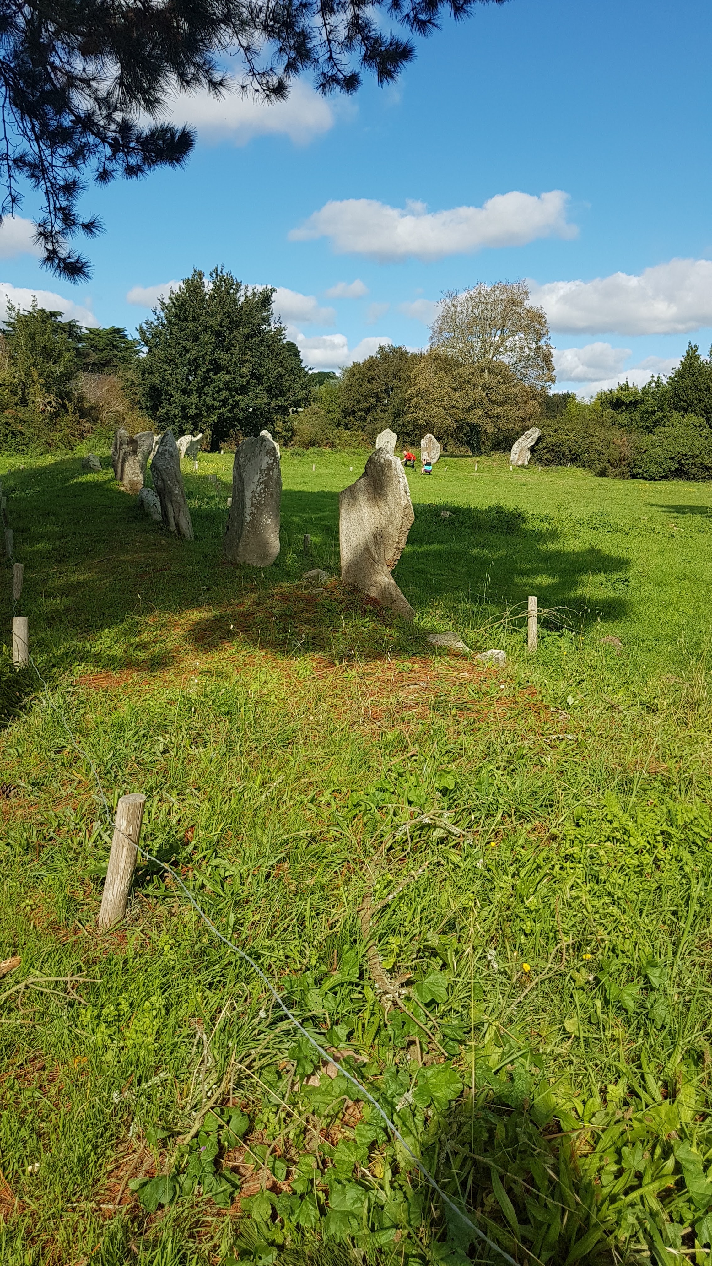 Photo n° 18 de l'avis de Mostrey.a fait le 09/10/2020 à 12:36