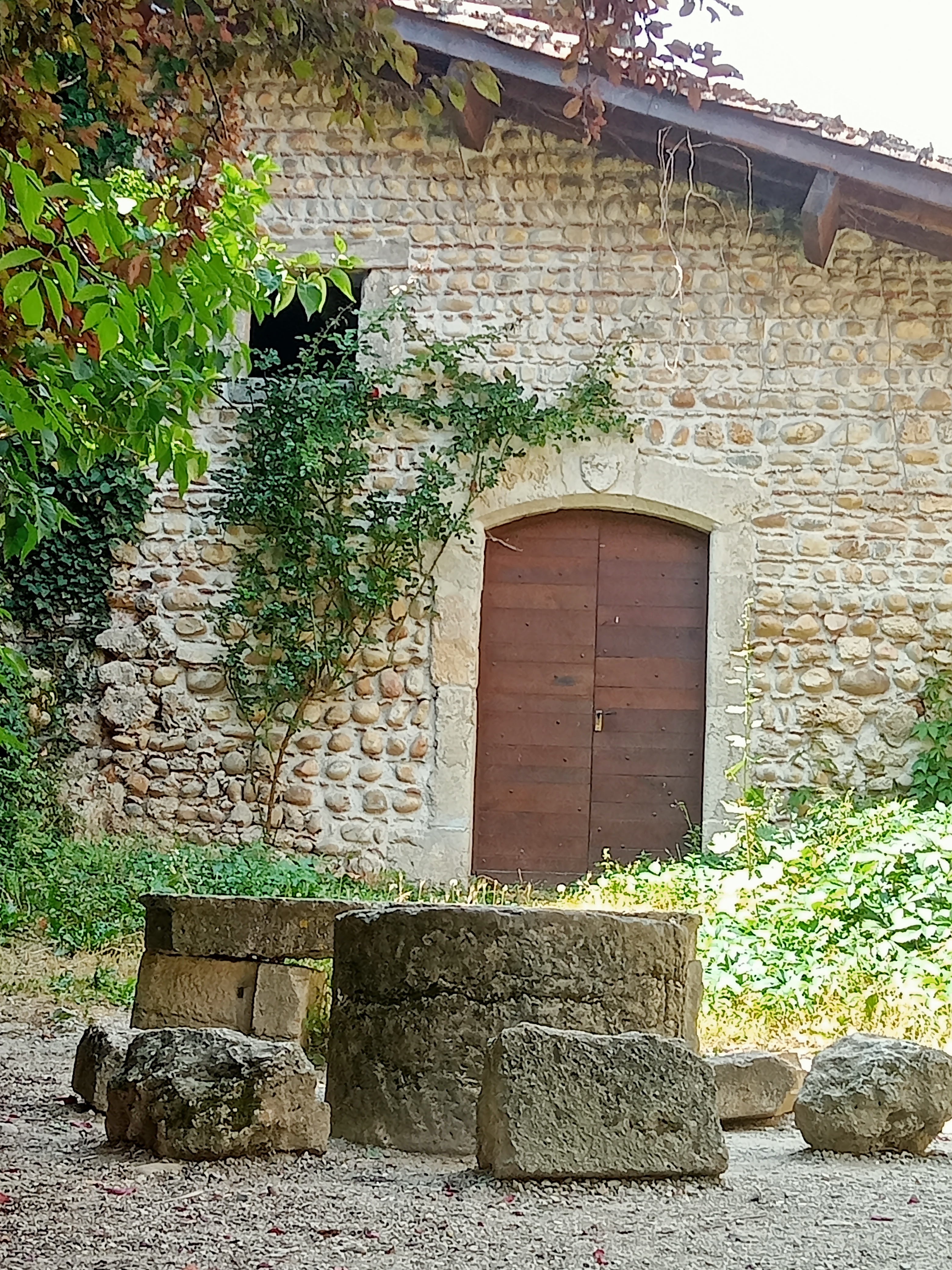 Photo n° 1 de l'avis de Irene.a fait le 23/07/2023 à 17:28
