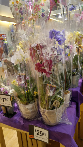 Grocery Store «Giant Food Stores», reviews and photos, 6560 Carlisle Pike, Mechanicsburg, PA 17055, USA