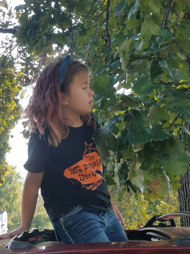 Park «Taylor Memorial Park», reviews and photos, 4201 Lee Ave, Louisville, KY 40213, USA