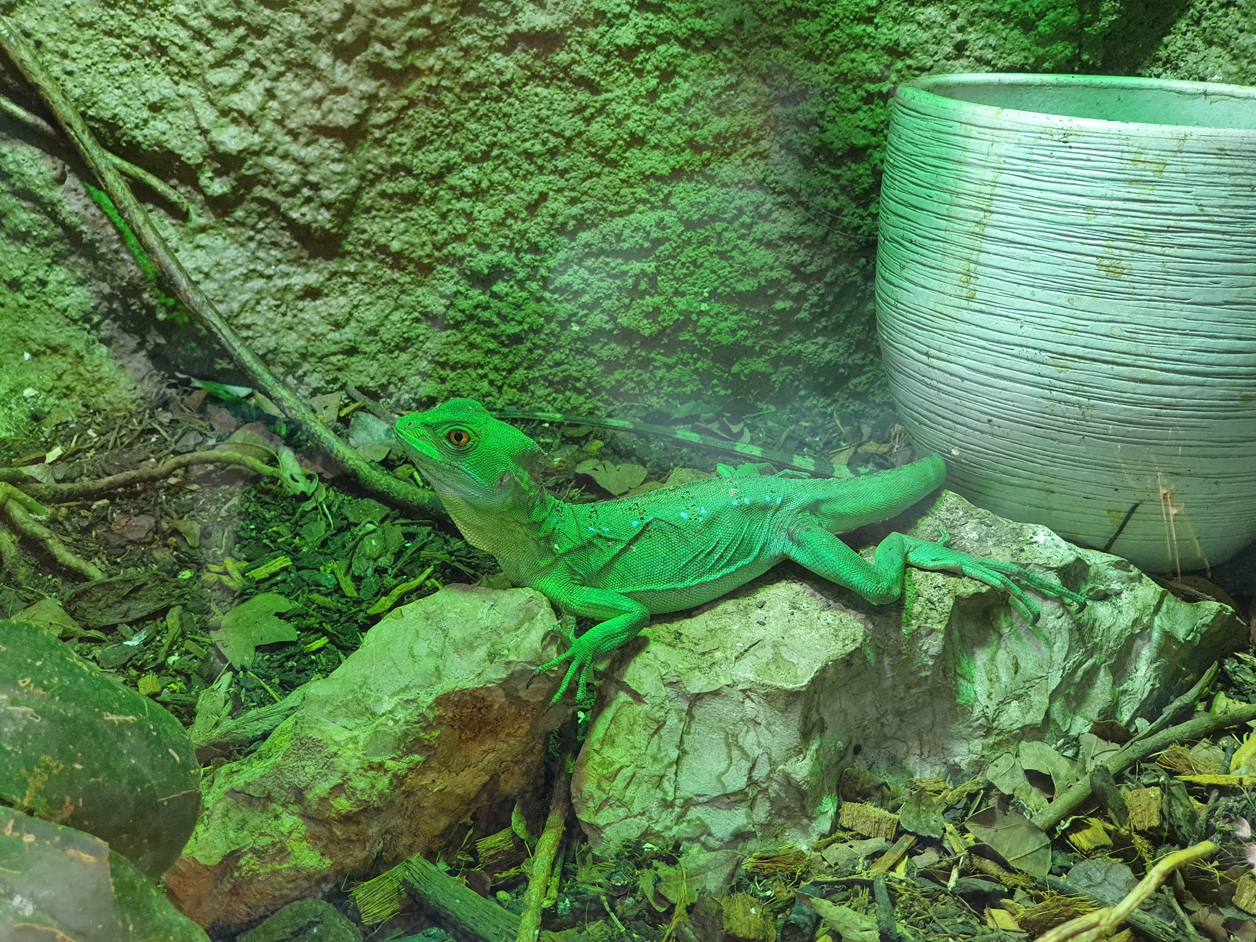 Photo n° 8 de l'avis de Alc. fait le 14/05/2022 à 10:09