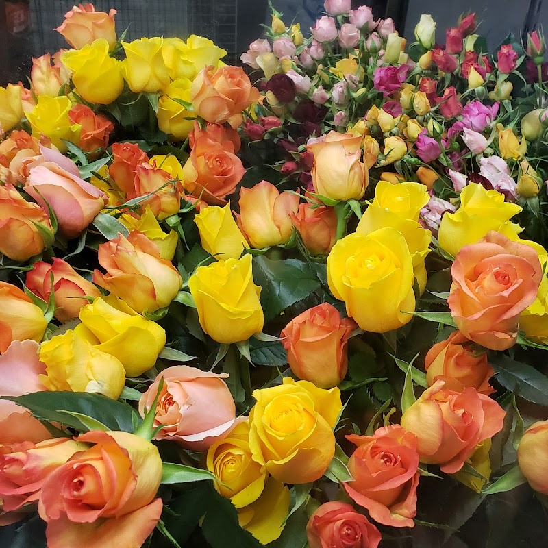 井上ばら園 兵庫県三田市沢谷 花屋 グルコミ