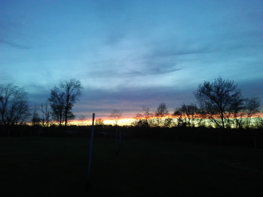 Drive-in Movie Theater «Cinema 67 Drive-in», reviews and photos, 2037 IN-67, Spencer, IN 47460, USA