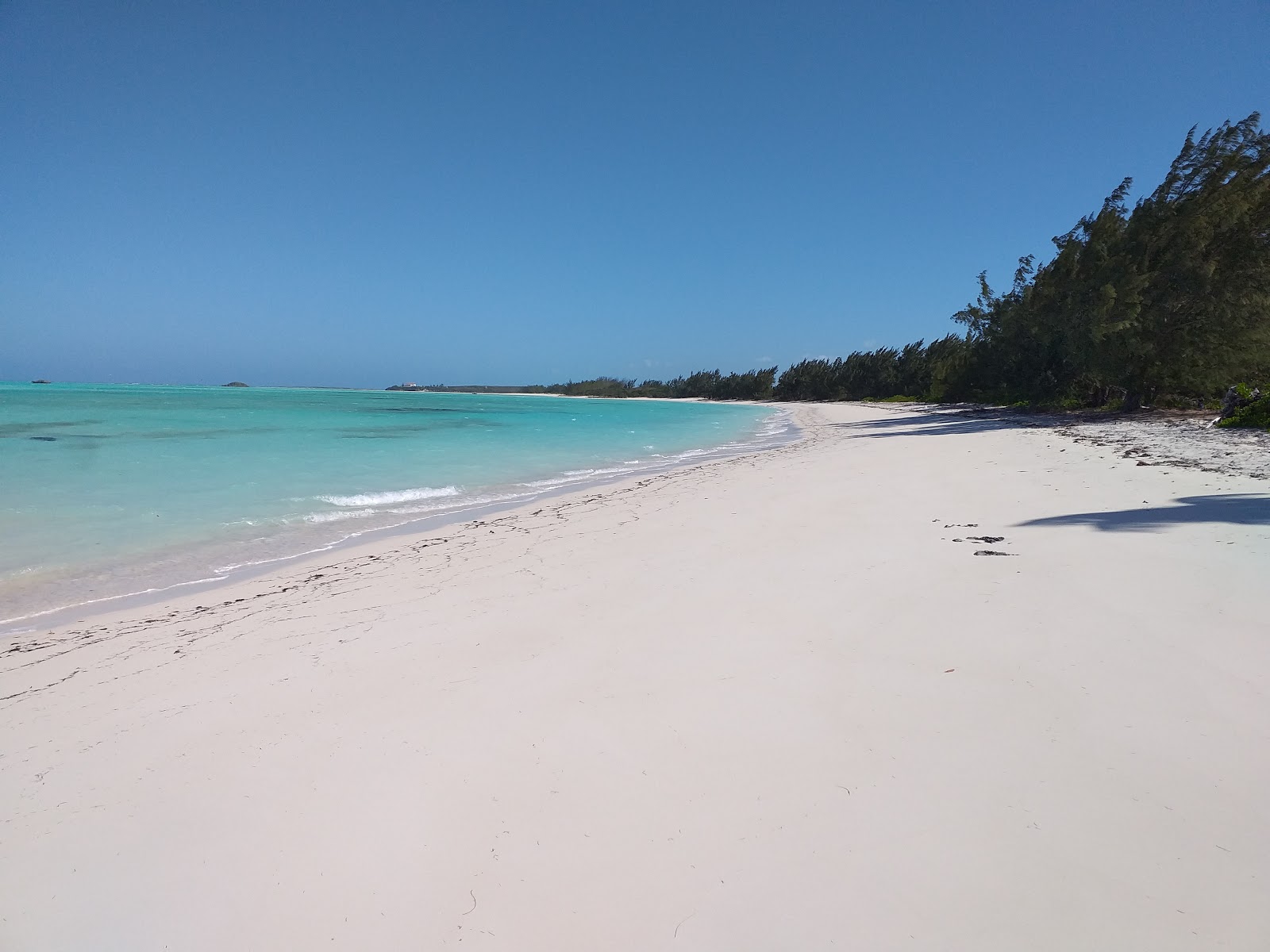 Fotografija Cocoplum beach z beli fini pesek površino