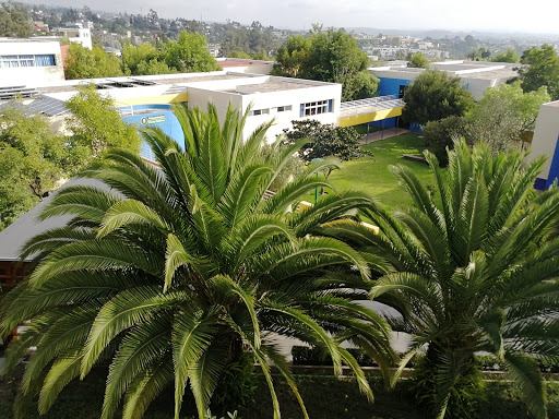 Portuguese academy Quito