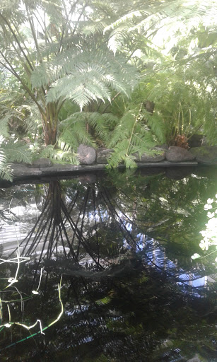 Golf Course «Como Park Golf Course», reviews and photos, 1431 Lexington Pkwy N, St Paul, MN 55103, USA