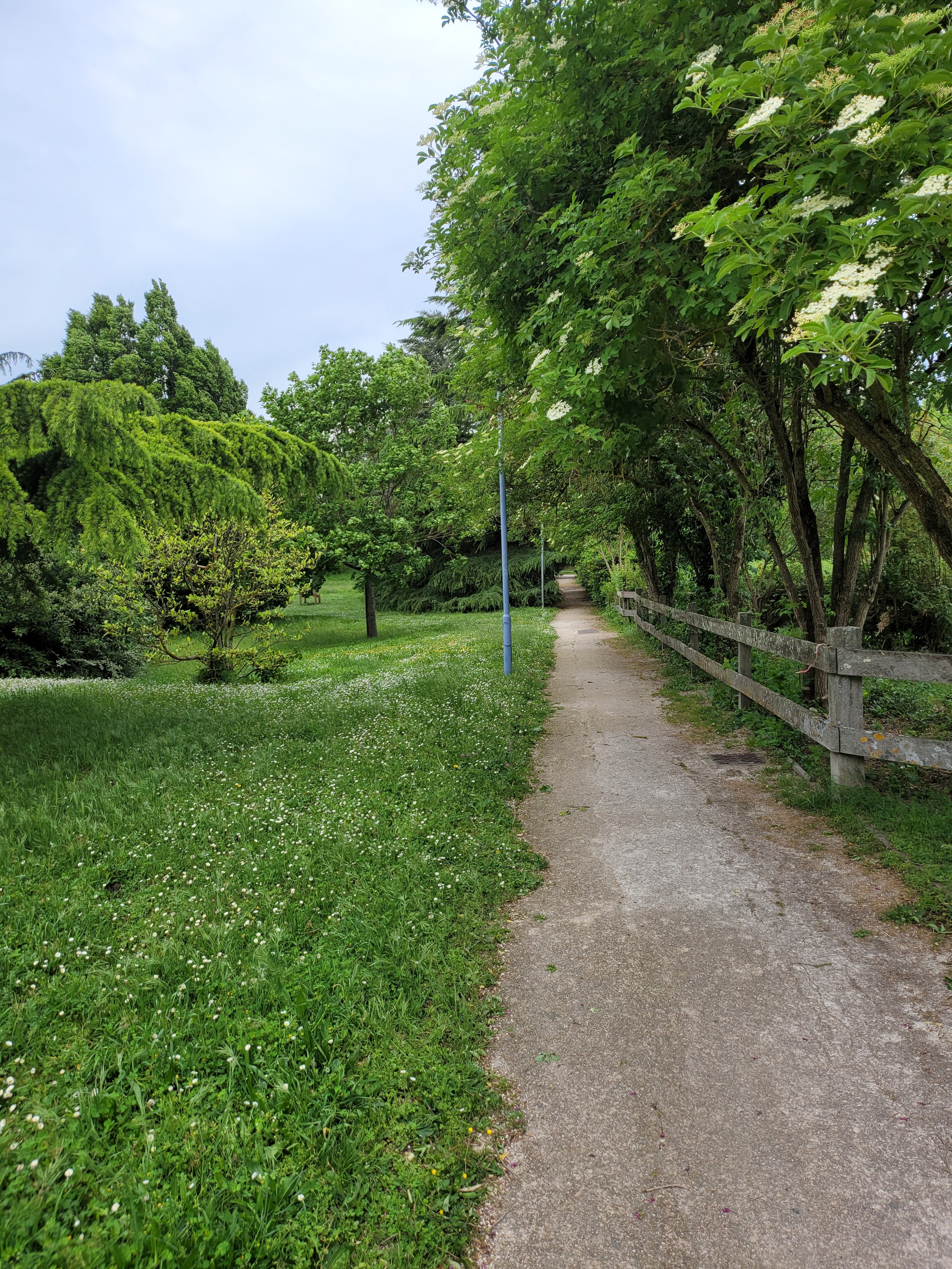 Photo n° 2 de l'avis de Pa.u fait le 10/05/2021 à 20:38