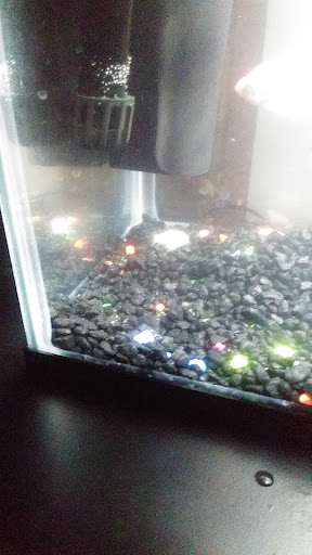 Pet Supply Store «Pet Supplies Plus», reviews and photos, 26230 Hoover Rd, Warren, MI 48089, USA