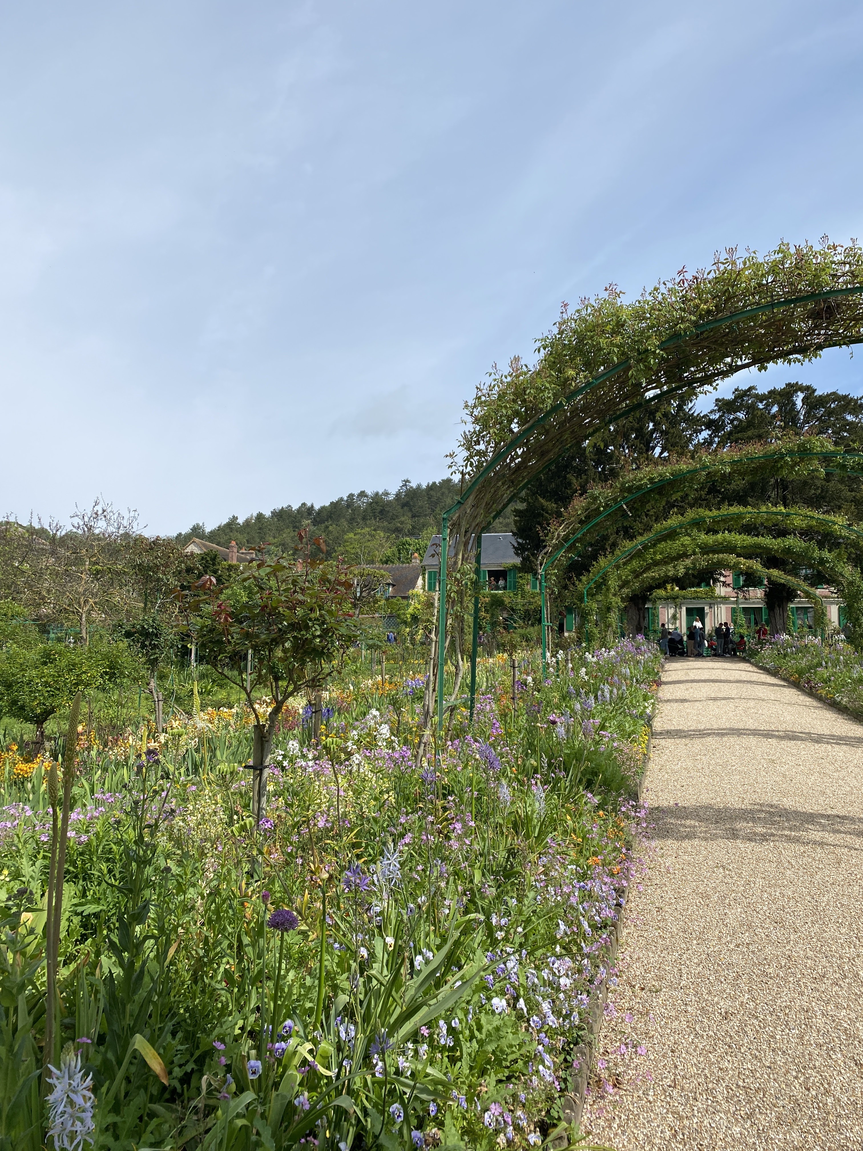 Photo n° 2 de l'avis de lea.a fait le 05/06/2023 à 09:45