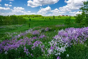 North Maple Regional Park image