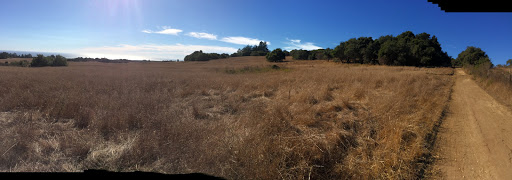 Bicycle Store «Epicenter Cycling», reviews and photos, 1730 Mission St, Santa Cruz, CA 95060, USA