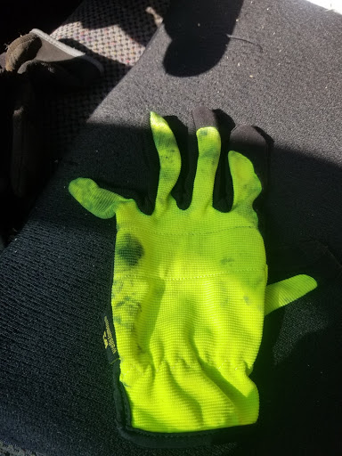 Department Store «Walmart Supercenter», reviews and photos, 419 Hwy 52 Bypass W, Lafayette, TN 37083, USA