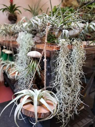 Florist «Capitol Florist», reviews and photos, 515 Capitol Way S, Olympia, WA 98501, USA