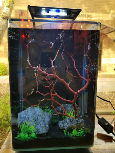 Pet Store «The Pet Shop», reviews and photos, 2235 S Power Rd #107, Mesa, AZ 85209, USA