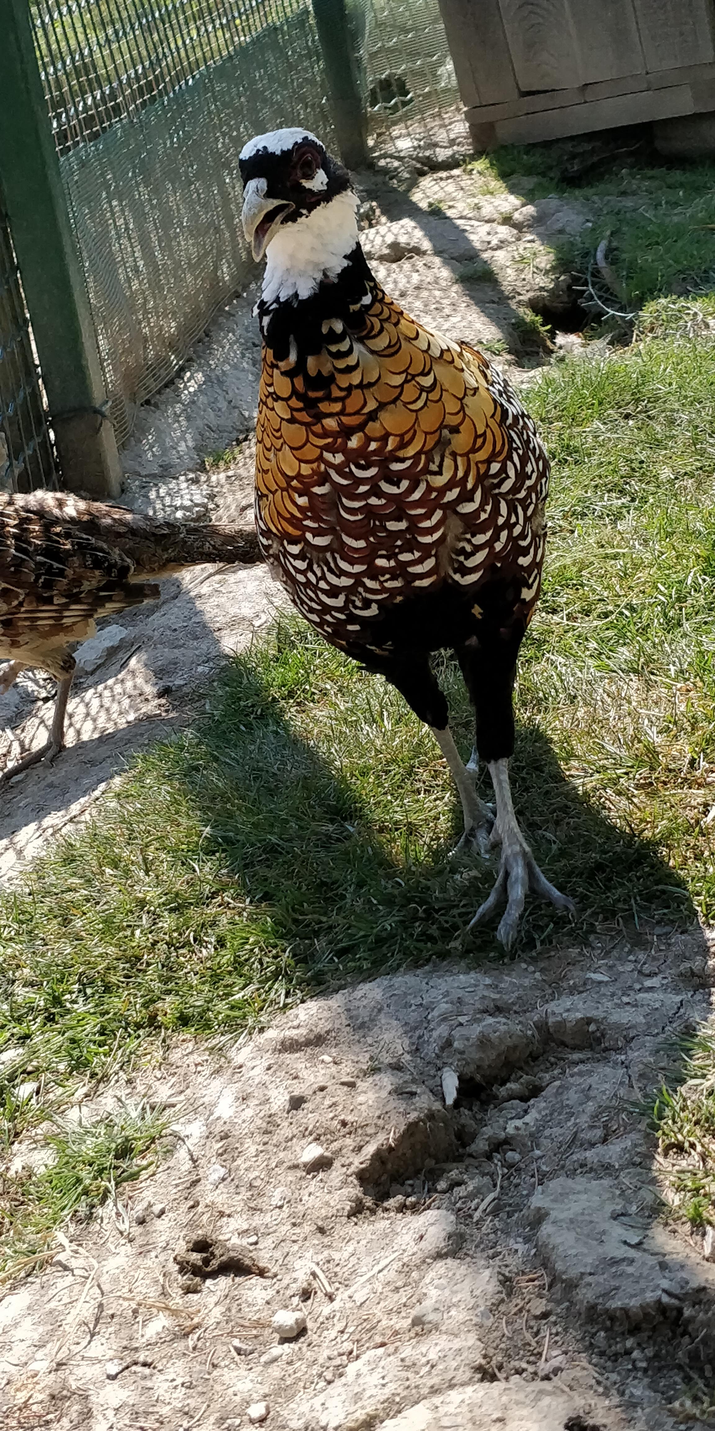 Photo n° 7 de l'avis de Sylvain.e fait le 02/08/2018 à 06:25