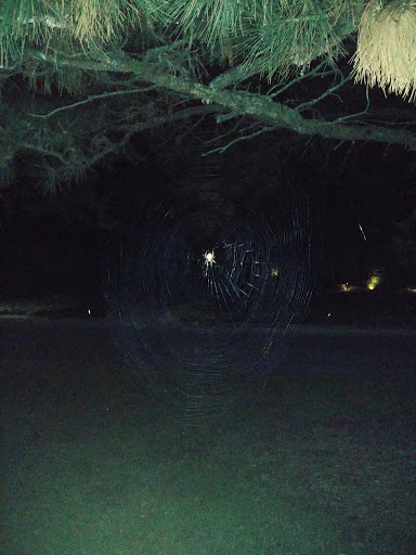 Park «Prestemon Park», reviews and photos, 3900 NE McKinley St, Columbia Heights, MN 55421, USA