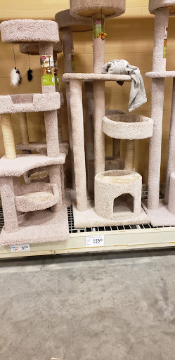 Pet Supply Store «PetSmart», reviews and photos, 2061 Skibo Rd, Fayetteville, NC 28314, USA