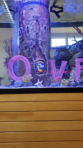 Department Store «Nordstrom Rack at Coddingtown Mall», reviews and photos, 180 Coddingtown Center, Santa Rosa, CA 95401, USA