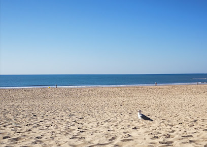 Playa de la Bota