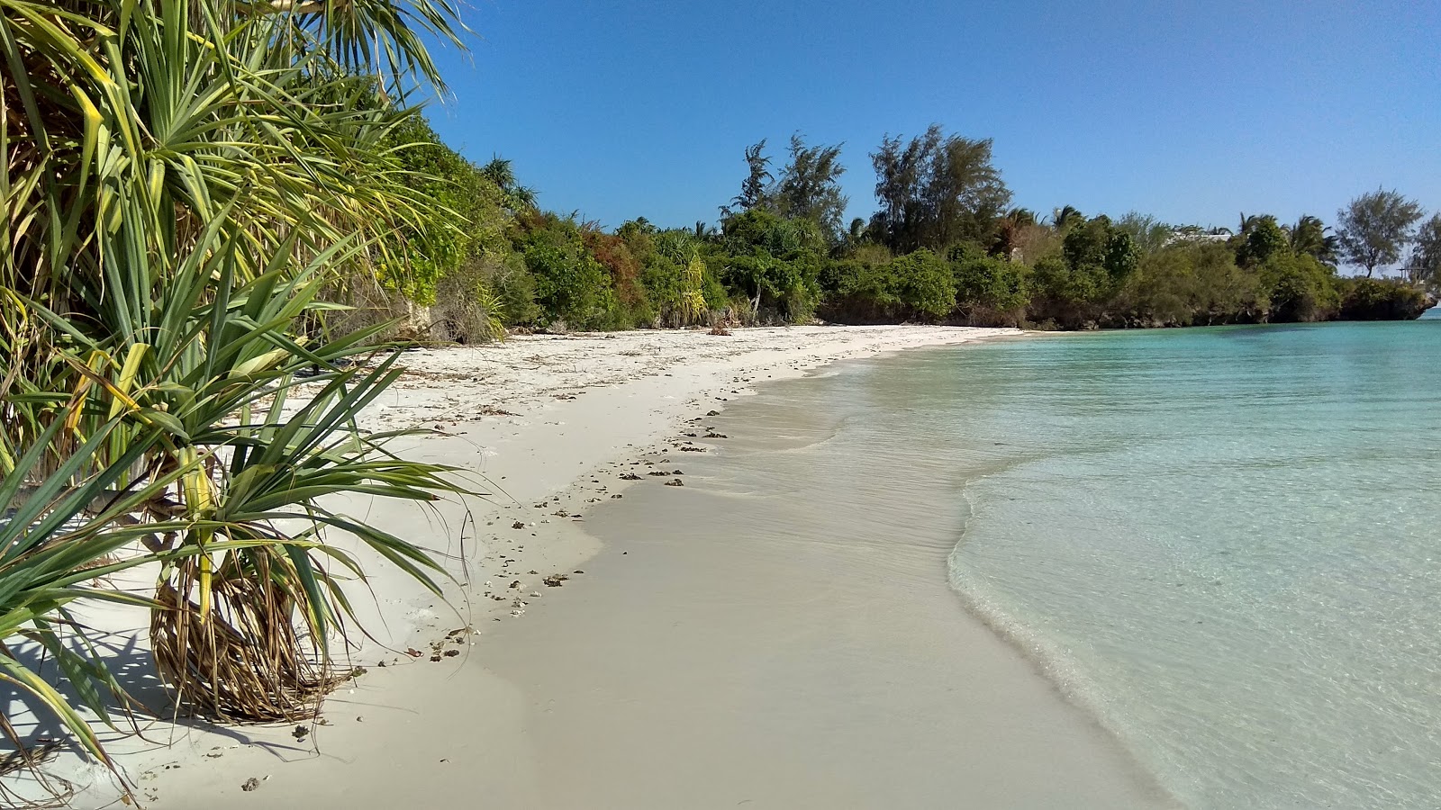 Photo of Pemba Island Beach and the settlement