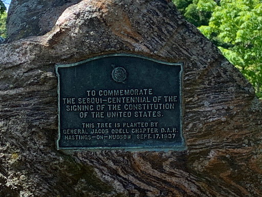 Grocery Store «Foodtown of Hastings-on-Hudson», reviews and photos, 87 Main St, Hastings-On-Hudson, NY 10706, USA