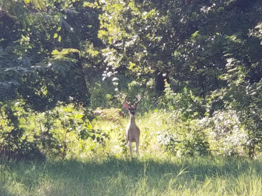 Nature Preserve «Bob Jones Nature Center», reviews and photos, 355 Bob Jones Rd, Southlake, TX 76092, USA