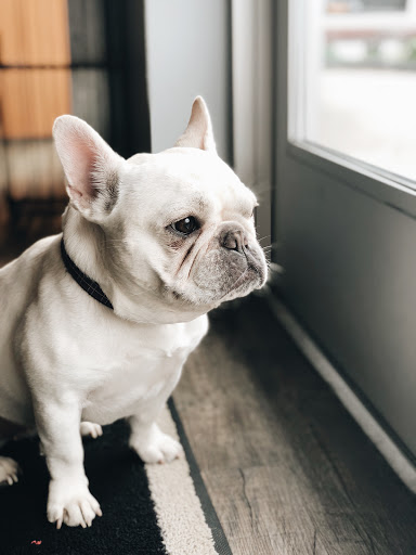 Gym «TITLE Boxing Club Nashville», reviews and photos, 1906 Church St, Nashville, TN 37203, USA