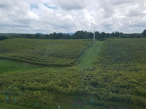 Vineyard «Kaya Vineyard & Winery», reviews and photos, 5400 Town Creek Rd, Dahlonega, GA 30533, USA