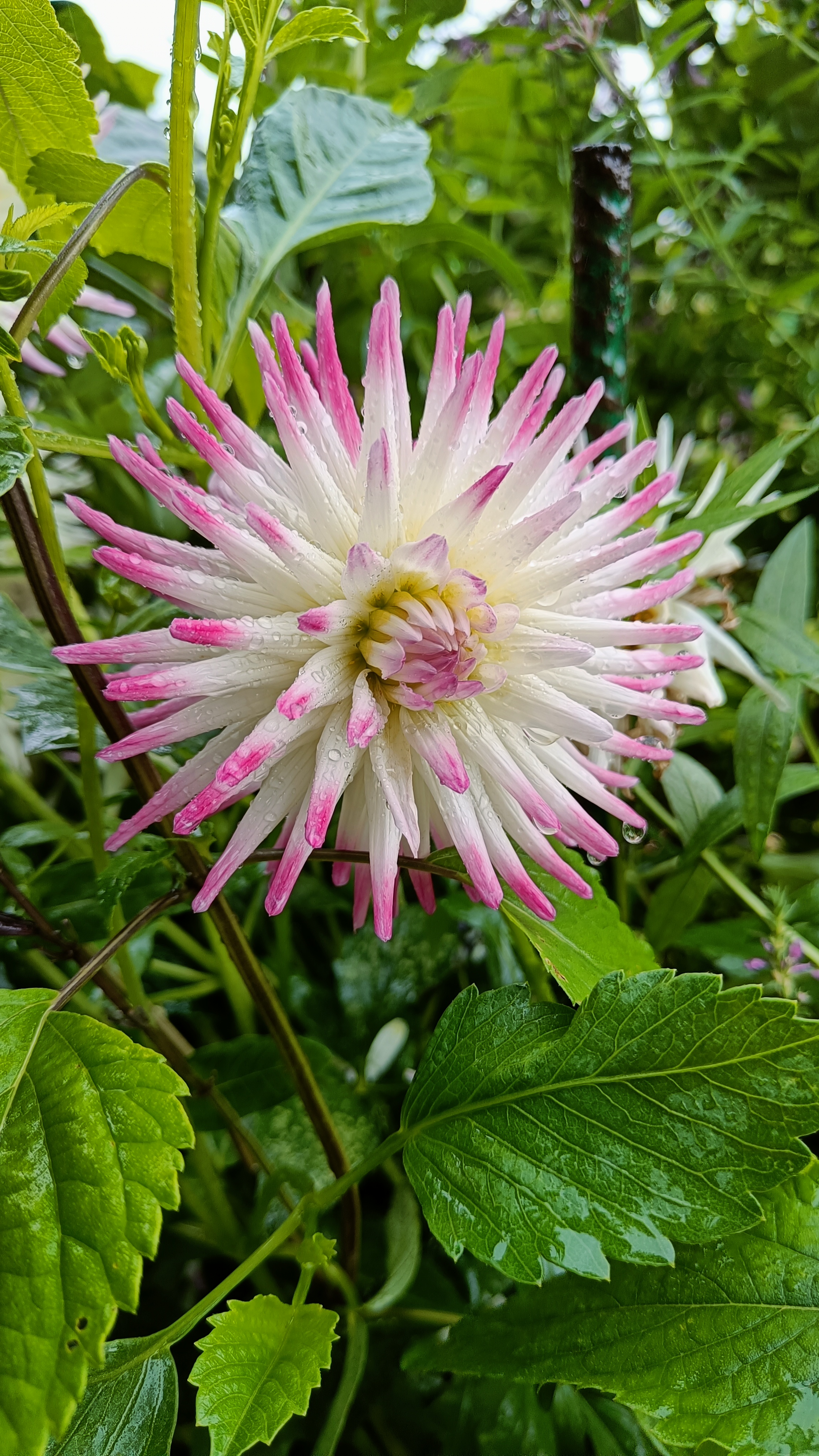 Photo n° 27 de l'avis de Eliot.o fait le 28/07/2023 à 16:35