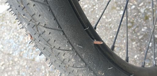 Snowboard Rental Service «Bothell Ski & Bike», reviews and photos, 8020 Bothell Way NE, Kenmore, WA 98028, USA