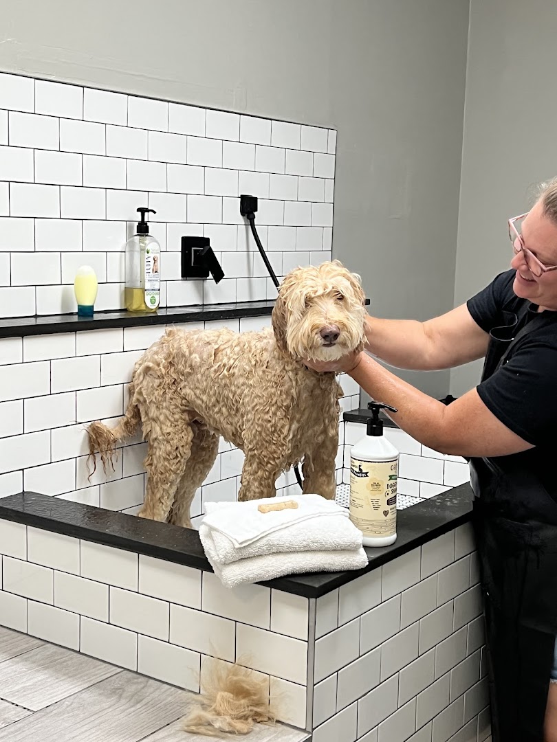 Scrub-A-Pup Self-Serve Laundromutt