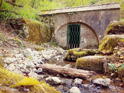 Source De La Marne à Saints-Geosmes