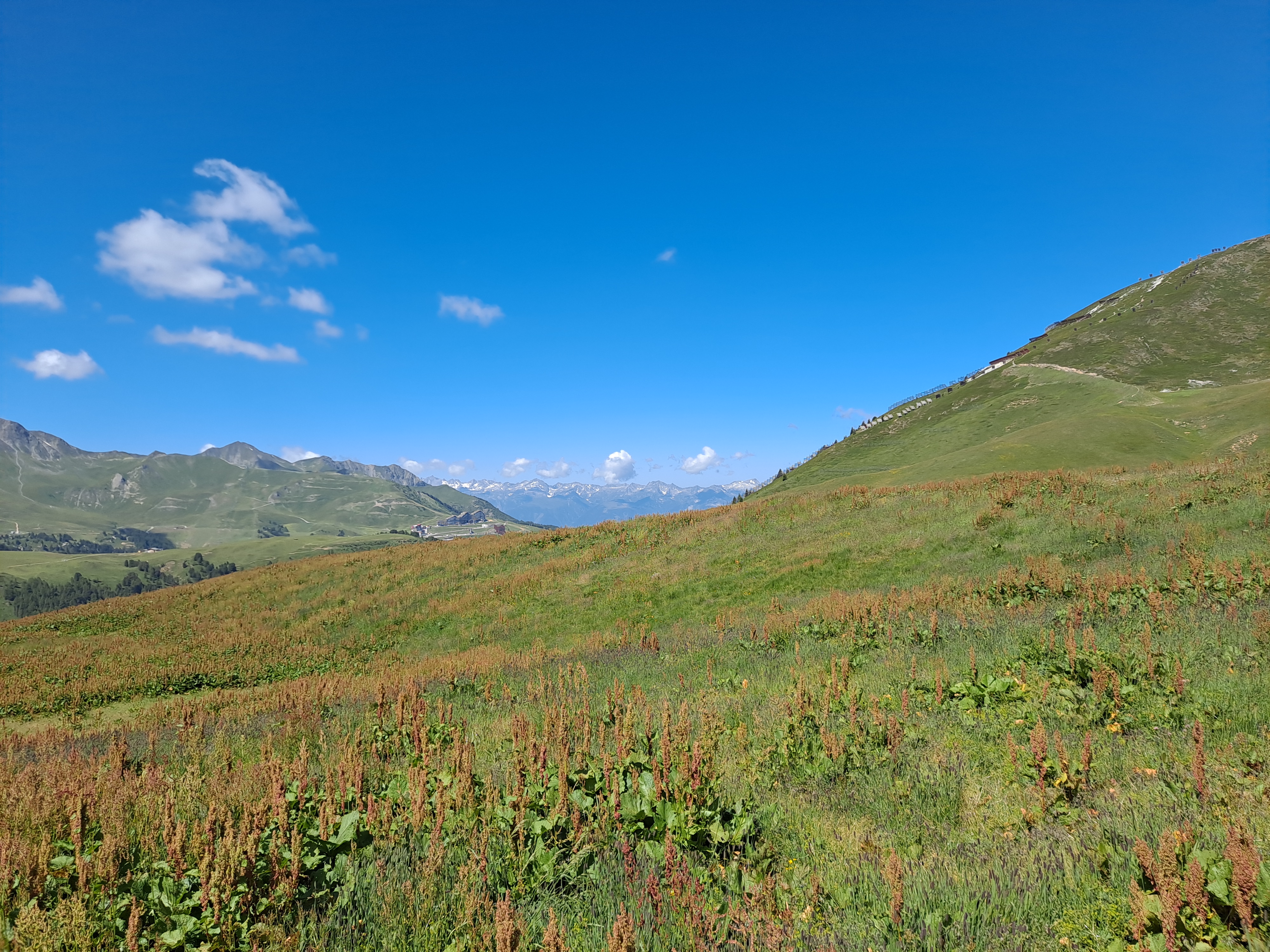 Photo n° 5 de l'avis de Sébastien.A fait le 24/07/2020 à 08:58
