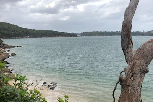 Manly To Spit Bridge Coastal Walk