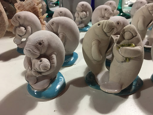 Tourist Attraction «Fun 2 Dive - Swim with Manatees», reviews and photos, 135 NE 3rd St, Crystal River, FL 34429, USA