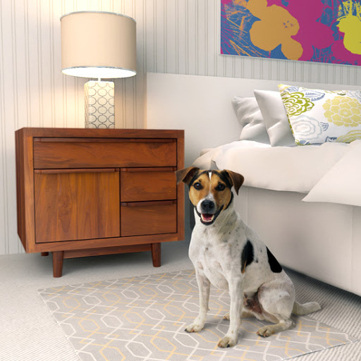 Teak Me Home image