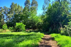 Riviera on Vaal parkrun image